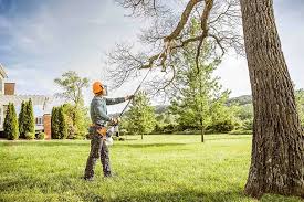 Best Leaf Removal  in Oakfield, WI